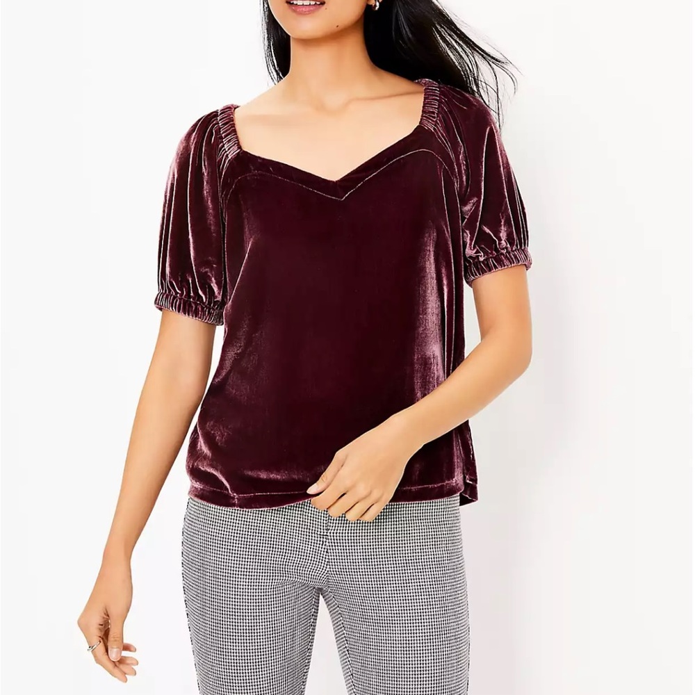 Velvet Top